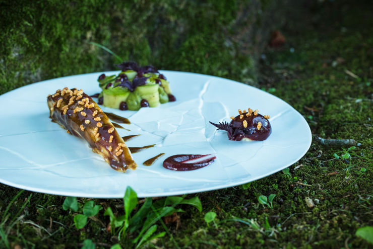 auberge-basque-plat-gastronomique-restaurant-etoilejpg